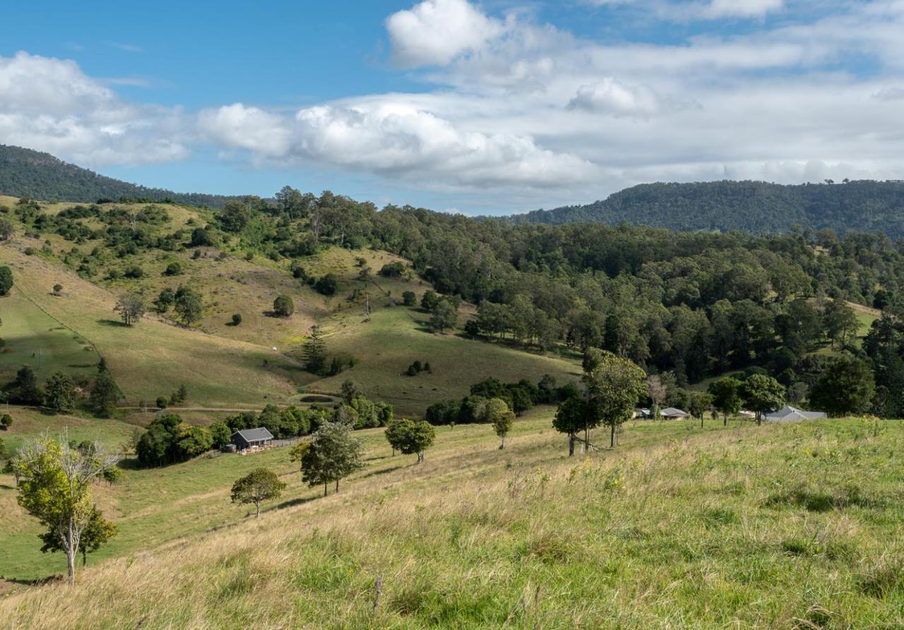 Country Mile Escape Konuk evi Canungra Dış mekan fotoğraf